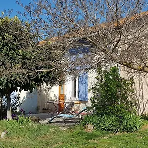Petite Maison Refaite à Neuf Dans Mas Du 19ème Siècle Hébergement de vacances Arles
